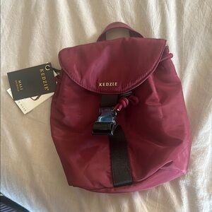 Burgundy Backpack